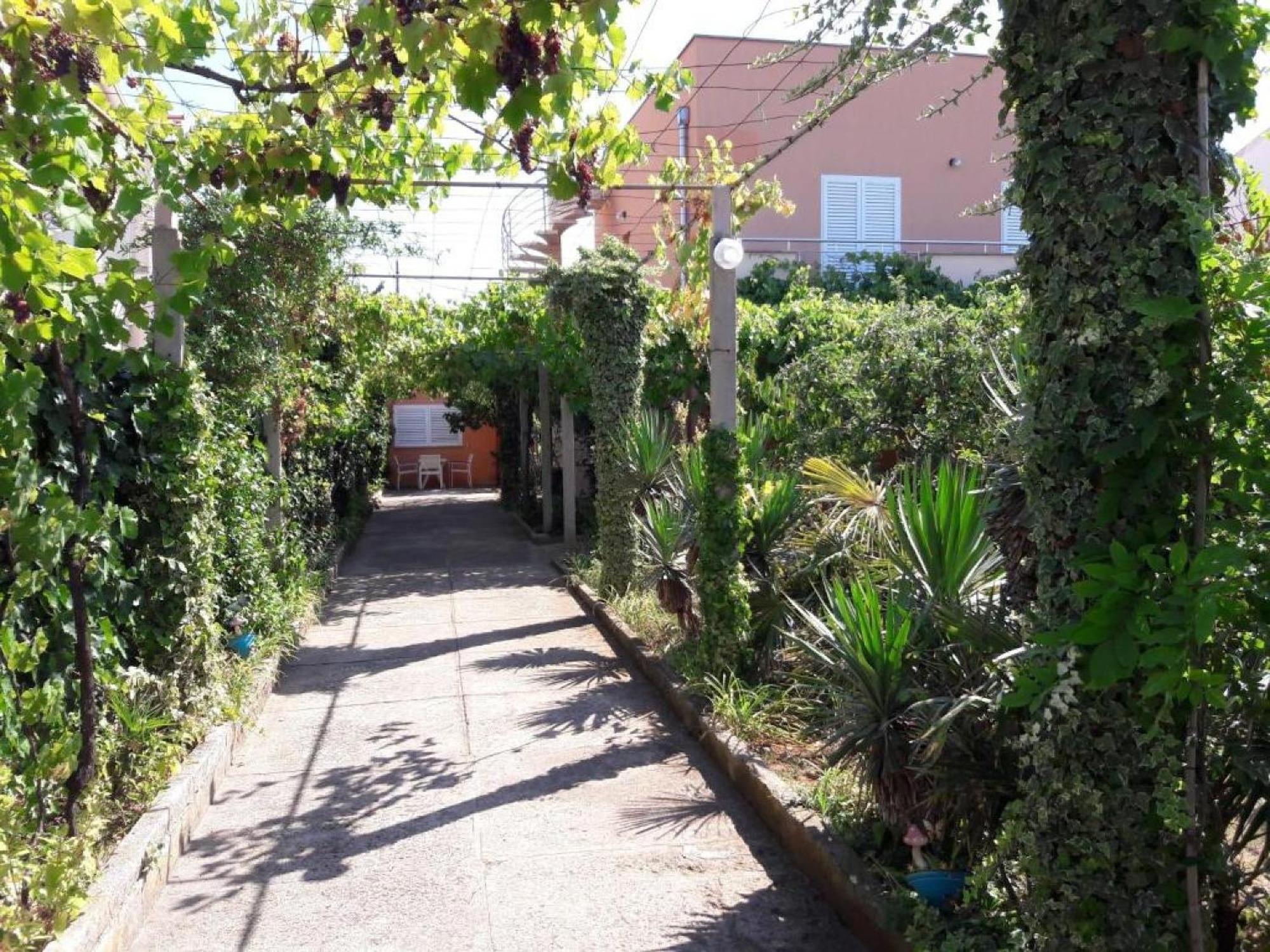 Apartments Amalia 扎达尔 客房 照片